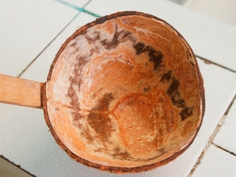 mangkuk kelapa