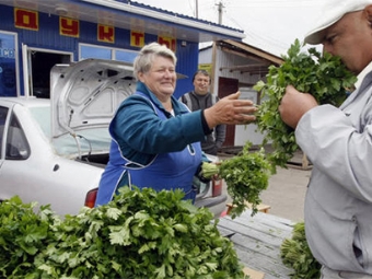 Caractéristiques du persil