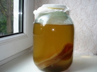 Penjagaan Kombucha