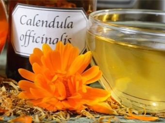 Chiết xuất từ ​​dầu calendula