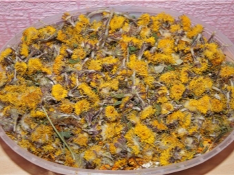 Hoa khô coltsfoot