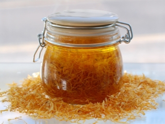 Berwarna kelopak calendula