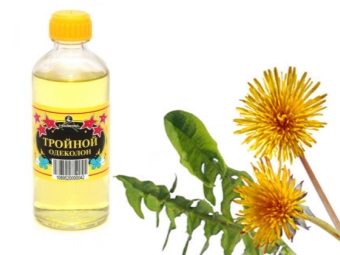 Berwarna dandelion pada triple cologne