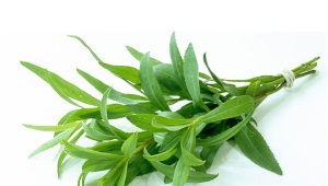 Tarragon (tarragon)