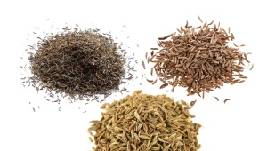 Quelle est la différence entre le zira, le cumin et le cumin ?