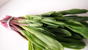 Ramson (wilde knoflook)