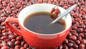 Kolak rosehip - cadangan untuk digunakan, faedah dan kemudaratan minuman