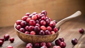 Cranberry: eigenschappen van de bes en gebruik bij verschillende ziekten