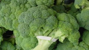 Broccoli: samenstelling, caloriegehalte en kookfuncties