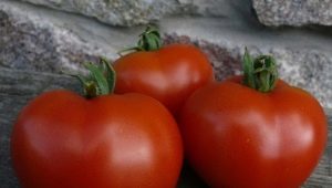 Kenmerken van de variëteit aan tomaten Dubok