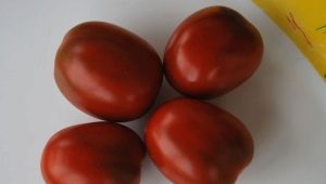 Tomaten De Barao: kenmerken en soorten