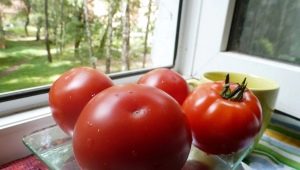 Tomaten van de Nepas-serie: kenmerken en variëteiten