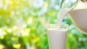 Wat is het verschil tussen gepasteuriseerde melk en gesteriliseerde melk?