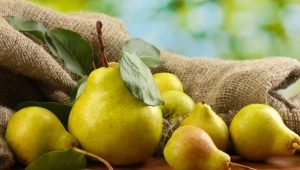 Pear Rich: opis i uprawa odmiany 