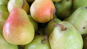 Pear Williams: rasbeschrijving, voordelen en nadelen