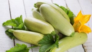 Courgette: eigenschappen en voedingswaarde