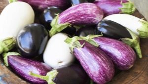 Hoe aubergine vormen?