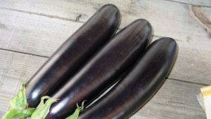 Hoe bitterheid van aubergine te verwijderen?