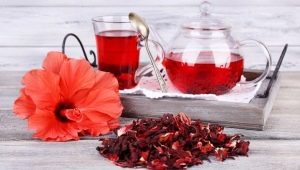 Hibiscus: eigenschappen en gebruiksregels