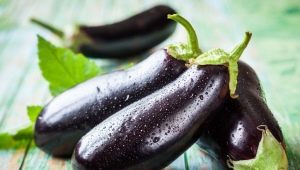 De beste soorten aubergine