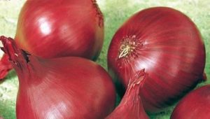 Onion Baron Red: kenmerken, teelt en vergelijking met andere rassen