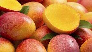 Mango: eigenschappen en toepassingen