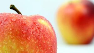 Gala-appels: beschrijving van de variëteit, variëteit, caloriegehalte, voordelen en nadelen