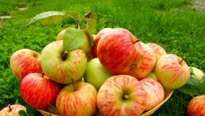 Appels bewaren: hoe en waar vers fruit thuis bewaren?