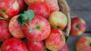 Appels: voordelen en nadelen, samenstelling en gebruiksregels