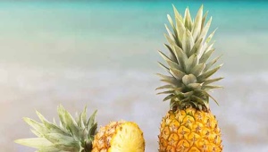 Nuttige eigenschappen en schade van ananas voor mannen