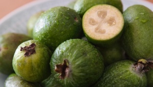 Wat is feijoa?