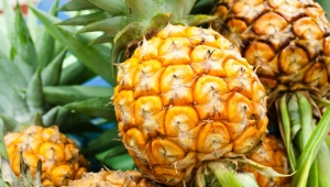 Hoe ananas thuis te rijpen?