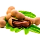 Tamarind (kurma India)