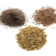 Sự khác biệt giữa zira, cumin và cumin là gì?