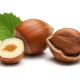 Hazelnut (hazel besar)