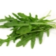 Arugula (rau arugula)