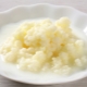 Cendawan susu (Kefir Tibet)