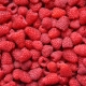 Raspberry Heritage: kenmerken en plantregels