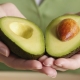 Avocado voor gewichtsverlies: nuttige eigenschappen en recepten