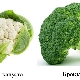 Broccoli en bloemkool: wat is het verschil?