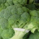 Broccoli: samenstelling, caloriegehalte en kookfuncties