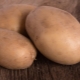 Potato Vector: kenmerken, verzorging en teelt