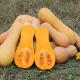 Butternut squash: variëteiten, teelt en gebruik