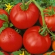 Beschrijving van de variëteit aan tomaten Moskvich en de regels voor de teelt ervan