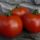 Kenmerken van de variëteit aan tomaten Dubok