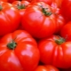 Kenmerken van de variëteit aan tomaten 