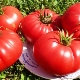 Tomato Bull's Heart: onderscheidende kenmerken en subtiliteiten van kweken