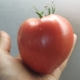 Tomato Miracle of the Earth: voordelen, nadelen en kenmerken