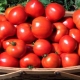 Tomato Irina F1: opis odmiany i zasady uprawy