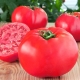 Raspberry Elephant Tomato: gedetailleerde kenmerken en kweektips 